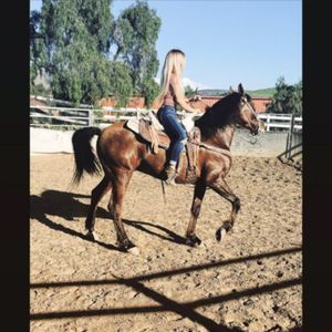 Meet your Posher, Tori